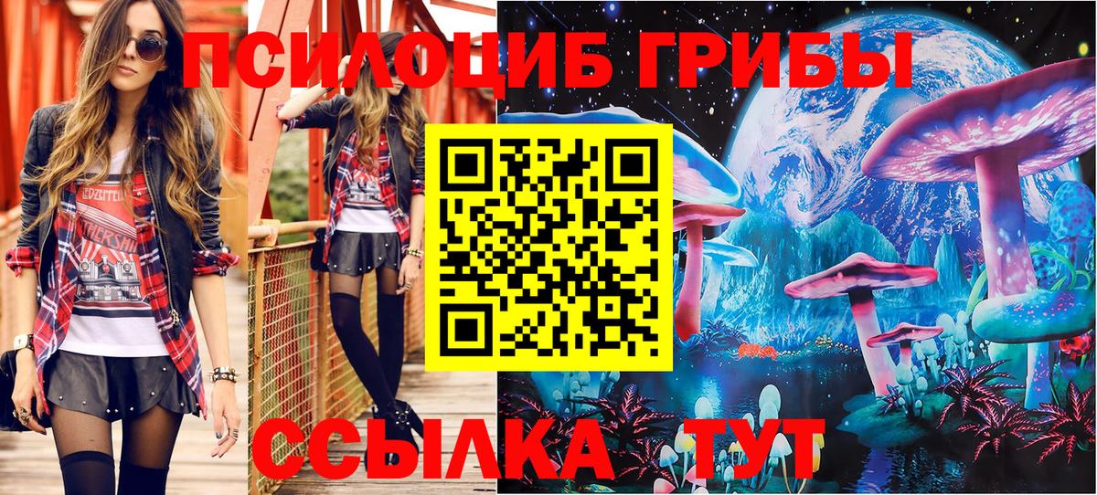 Псилоцибиновые грибы мухоморы Бердск