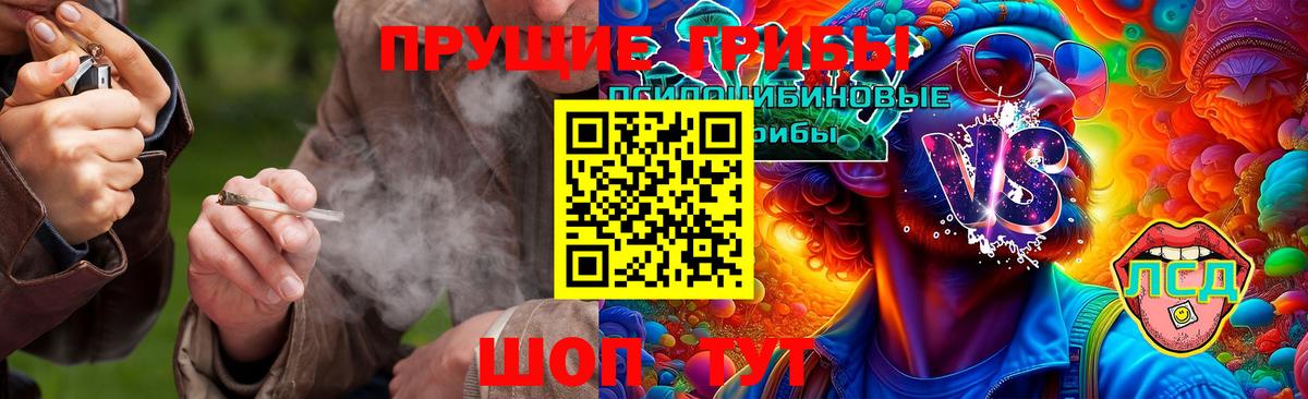 Бердск  Псилоцибиновые грибы Magic Shrooms  закладка  Вход с VPN 