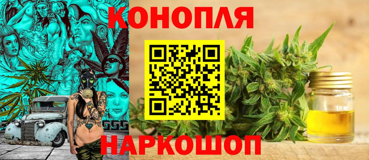 Канабис план  Бошки марихуана White Widow  Бердск  Вход с VPN 